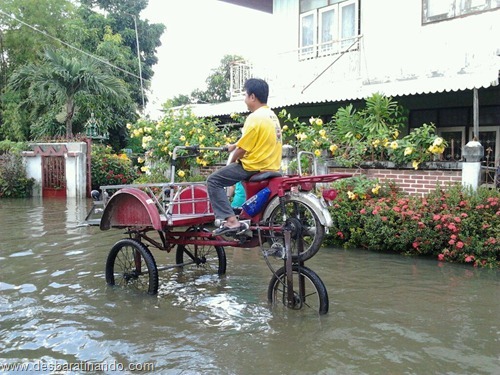 tailandia chuva inundacao criativa desbaratinando httpthai flood hack (13)