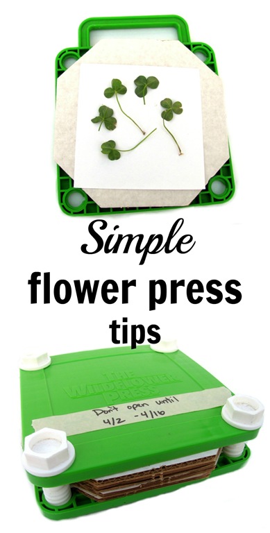[simple%2520flower%2520press%2520tips%255B9%255D.jpg]