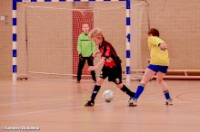 20140201 - WVV E2 - ZAALCOMPETITIE - 021.jpg