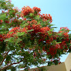 k-Eigene Bilder Jordan 2011 031.jpg