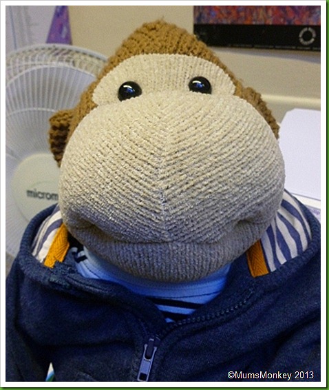 harvey monkey