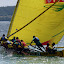 Course de gommiers