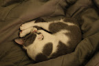 IMG_4925.JPG