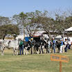 superleite2011_dia1607_16.JPG