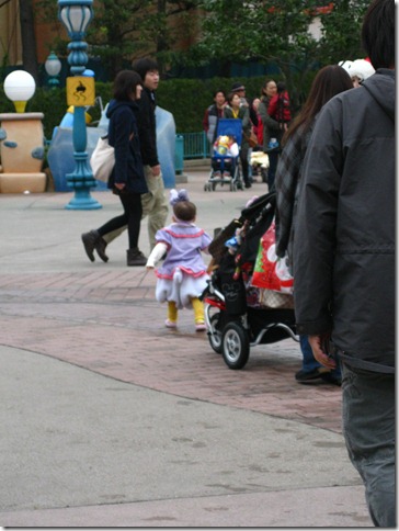 IMG_3174 IMG_3174