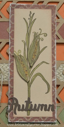 Artbooking_corn stalk_card_corn cob straight on DSC_2263