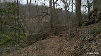 2011-03-12_12-08-12_731.jpg