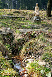 Nicht weit entfernt von Panenská Rozsíčka entspringt unter dem Hügel Hřeben (673 Meter ü. d. M.) die Mährische Thaya. Mährische Thaya ist ein Quellfluss der Thaya (die Länge beträgt 287,3 Km). Der zweite Quellfluss ist die Deutsche Thaya. Im Jahr 1982 wurde das anliegende Flussgebiet von den Mitgliedern des tschechischen Bundes für Naturschutz aus Třešť revitalisiert. Am 9. Mai fand an der Thayaquelle ein als Die Öffnung der Brunnen bekanntes Fest statt. 500 Gäste nahmen daran teil. Dabei wurde an der Quelle eine Frühlingsbrunnen-Plastik, ein Werk des in Třešť geborenen Künstlers Jaroslav Krechler, enthüllt. Das Werk soll den Fluss auf seinem Wege begleiten. Die heutige Statue ist eine Nachahmung der ursprünglichen Plastik, die im Museum in Třešť aufbewahrt wird.
