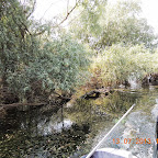 DSCN3050.JPG