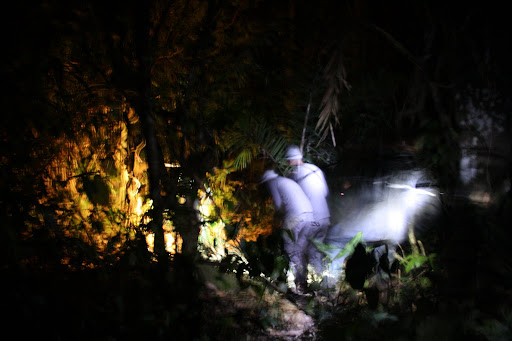 Night walk through the jungle