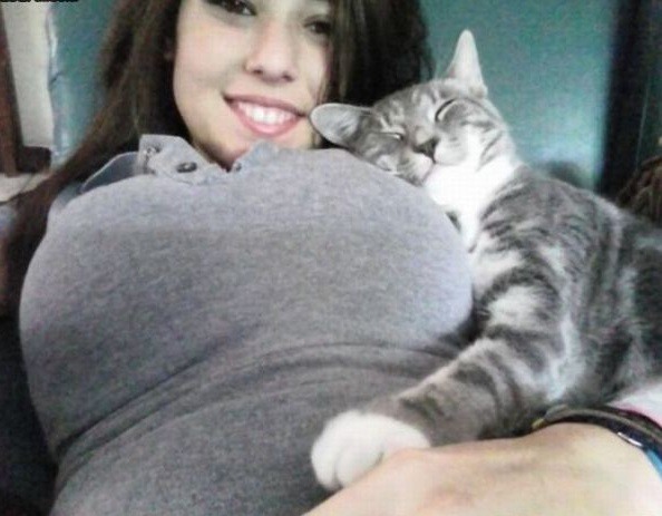 que gato tan carinoso que gato tan carinoso