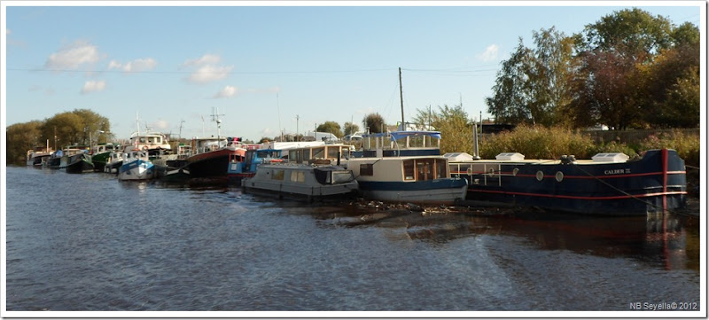 SAM_3654 Methley Bridge