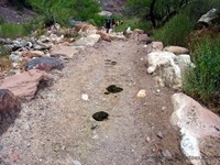 GrandCanyon-7