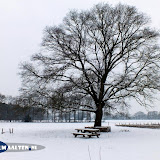 DSCF5618.jpg