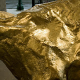 Solid Gold! - Solid%252520Gold%252520009.jpg