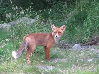 IMG_5697 IMG_5697