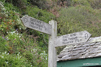 IMG_7986.JPG Photo