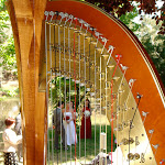DSC01461.jpg