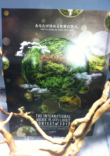 http://www.naturalaquascaping.com