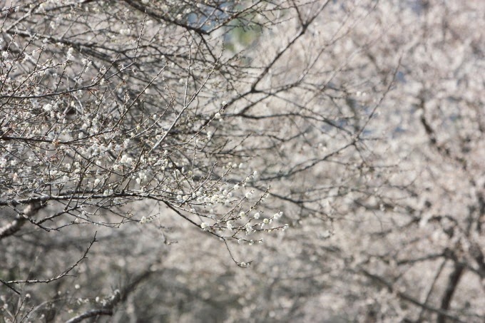 2014_0105_114508 2014_0105_114508