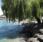 By the lake