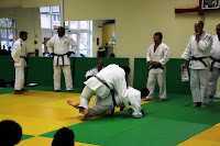 IMG_5799.JPG