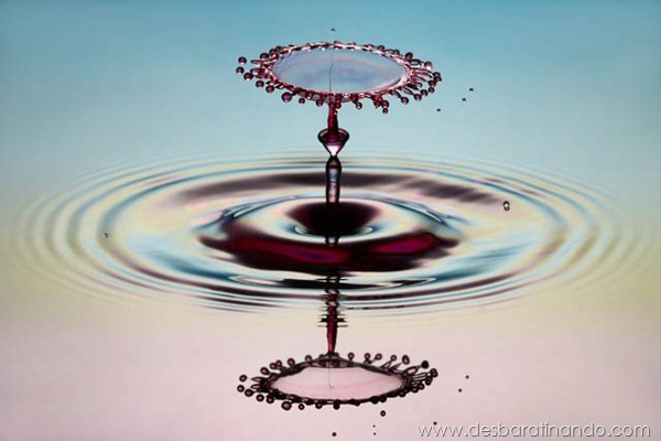liquid-drop-art-gotas-caindo-foto-velocidade-hora-certa-desbaratinando (123) liquid-drop-art-gotas-caindo-foto-velocidade-hora-certa-desbaratinando (123)
