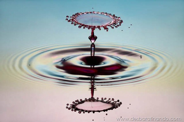 liquid-drop-art-gotas-caindo-foto-velocidade-hora-certa-desbaratinando (123)