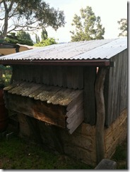 NOVEMBER 2011 054