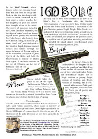 Cover of Leo Ruickbie's Book Imbolc Festival Of The Goddess Brigid