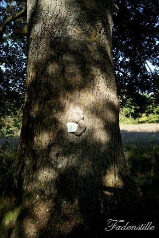 [Elfenstille%2520010%255B3%255D.jpg]