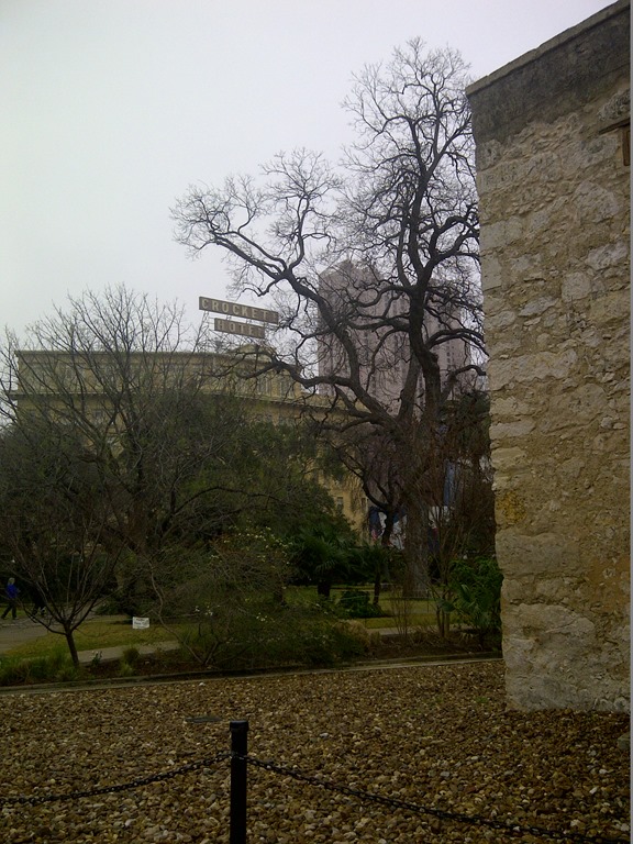 [IMG-20130209-11379%255B2%255D.jpg]