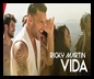Ricky Martin - Vida