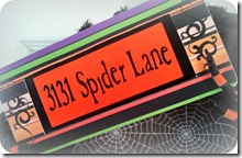Spider Lane edit final Spider Lane edit final