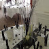 Black twig display.jpg