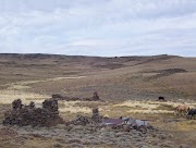 Voyage en Patagonie à cheval
