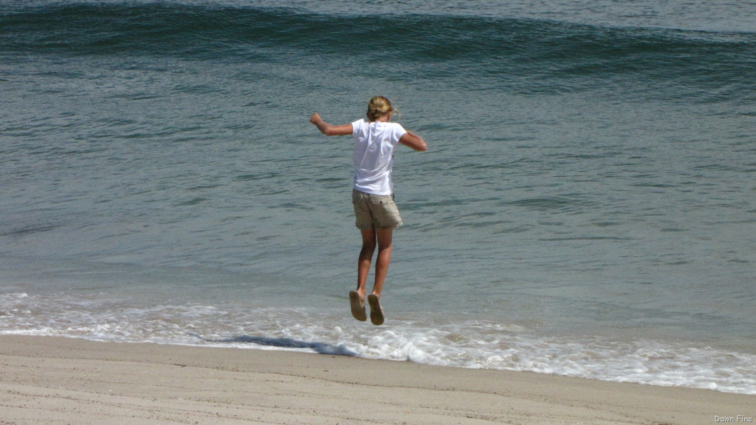[birding%2520south%2520beach_067%255B3%255D.jpg]