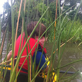 CoastalRestorationGrassPlantingDay