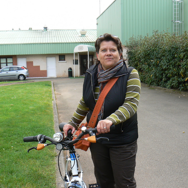 Saison 2007-2008