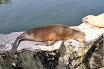 DSC_0120-1.JPG