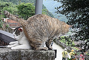 IMG_6142 IMG_6142