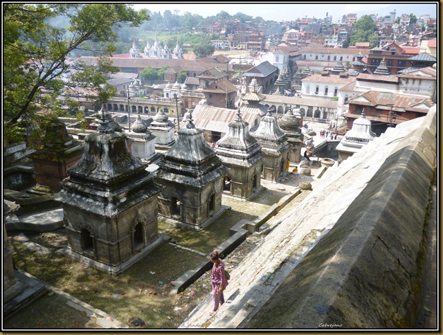 Nepal 1674 Nepal 1674
