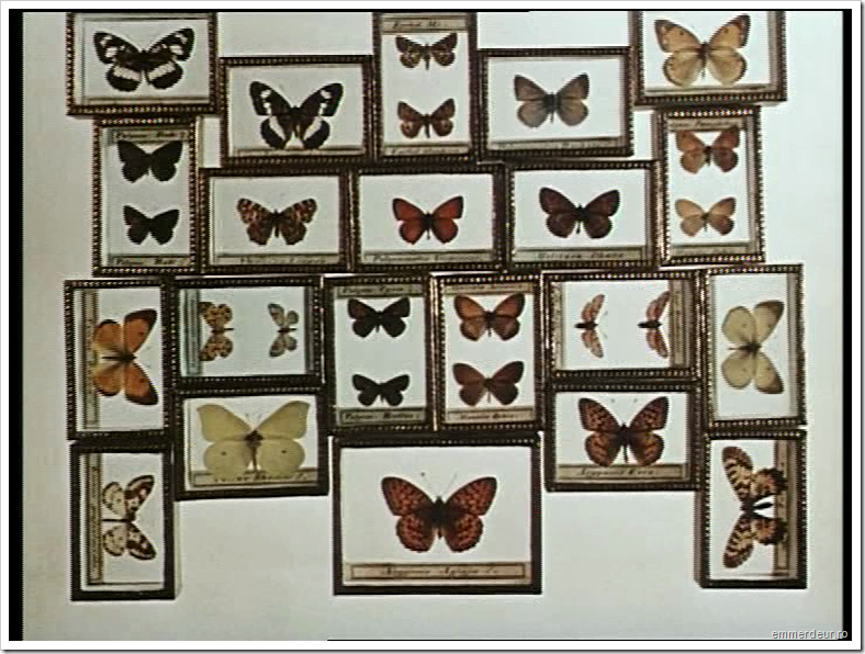 jan svankmajer historia naturae emmerdeur_106 jan svankmajer historia naturae emmerdeur_106
