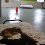 DSCN2294.jpg
