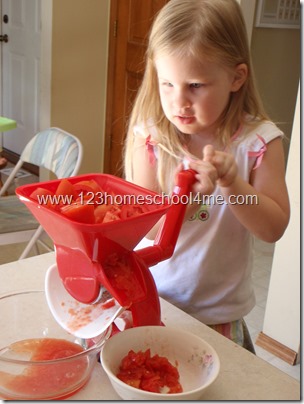 How to Can Tomatoes with a Tomato Press How to Can Tomatoes with a Tomato Press