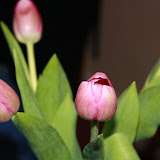 IMG_3864.JPG