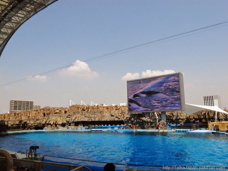 IMG_4857 IMG_4857
