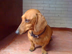 LULU
