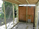 New pen, almost finished - May 2009