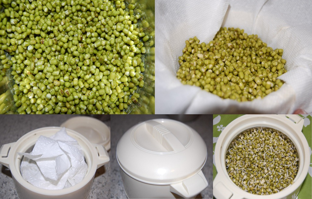 [Sprouted%2520green%2520lentil%2520salad%2520Process%255B12%255D.jpg]